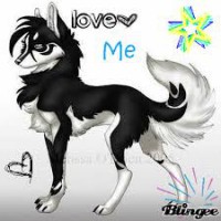 /album/secret-singing-wolves/images-42-kopie-jpg/